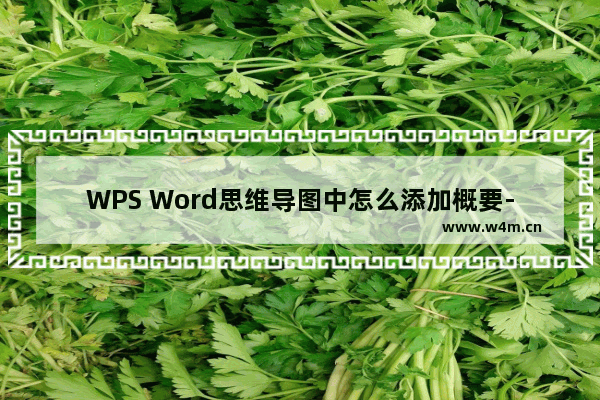 WPS Word思维导图中怎么添加概要-WPS Word思维导图添加概要的方法