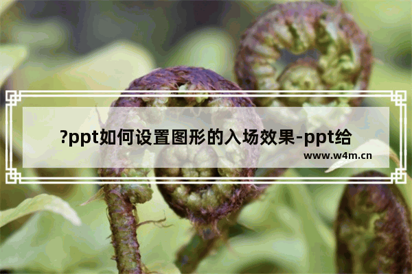 ?ppt如何设置图形的入场效果-ppt给图形添加入场效果的方法