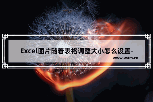 Excel图片随着表格调整大小怎么设置-Excel图片随着表格调整大小的方法