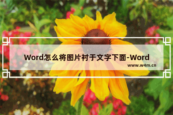 Word怎么将图片衬于文字下面-Word将图片衬于文字下面的方法