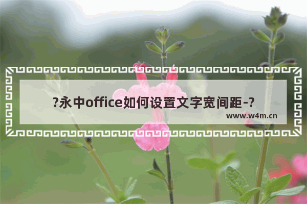 ?永中office如何设置文字宽间距-?永中office将文字间距加宽的方法