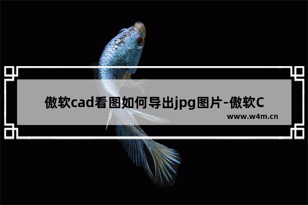 傲软cad看图如何导出jpg图片-傲软CAD看图将图纸保存为图片的方法