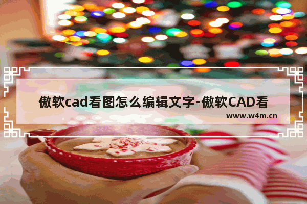 傲软cad看图怎么编辑文字-傲软CAD看图编辑文字的方法