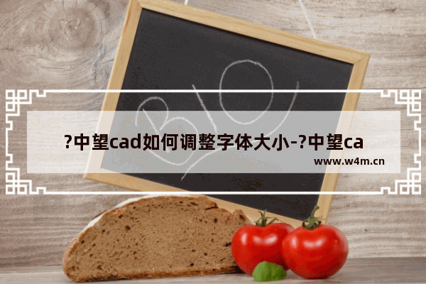 ?中望cad如何调整字体大小-?中望cad设置文字大小的方法