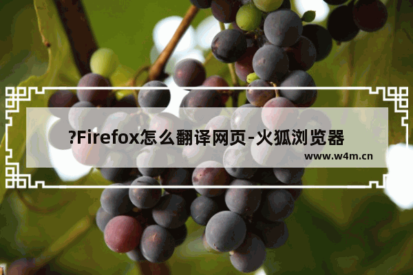 ?Firefox怎么翻译网页-火狐浏览器翻译网页的方法教程