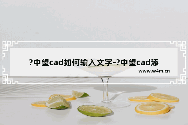 ?中望cad如何输入文字-?中望cad添加文本的方法