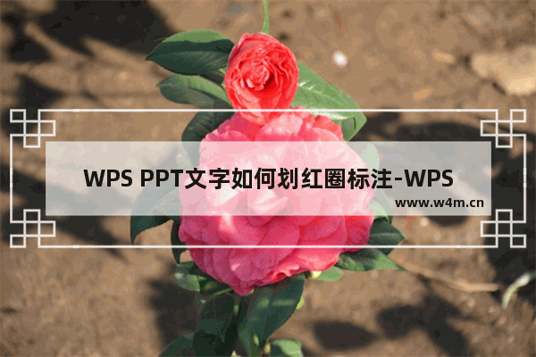 WPS PPT文字如何划红圈标注-WPS PPT文字插入红圈标注的方法