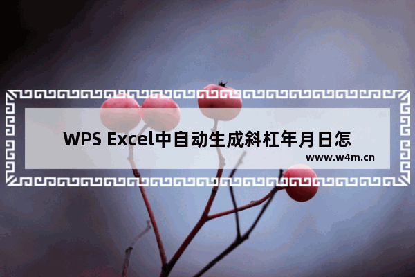 WPS Excel中自动生成斜杠年月日怎么办-WPS Excel中把斜杠日期更改为年月日的方法