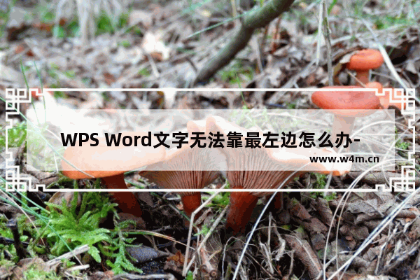 WPS Word文字无法靠最左边怎么办-WPS Word文字无法靠最左边的解决方法