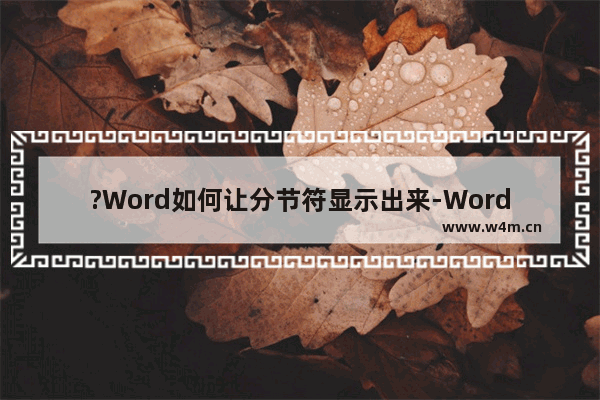 ?Word如何让分节符显示出来-Word文档显示分节符的方法教程