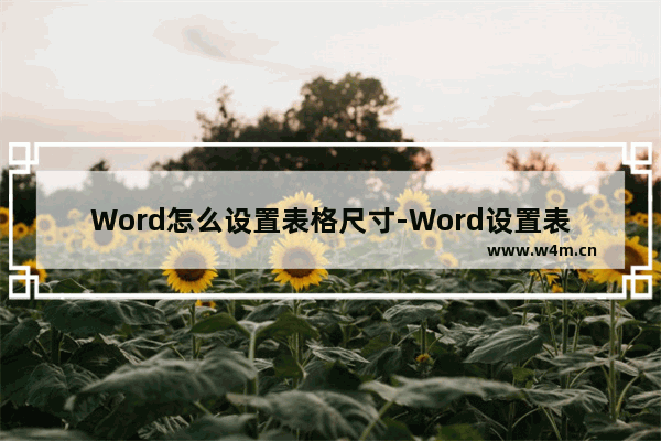 Word怎么设置表格尺寸-Word设置表格尺寸的方法