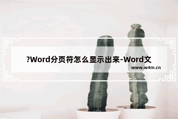 ?Word分页符怎么显示出来-Word文档显示分页符的方法教程