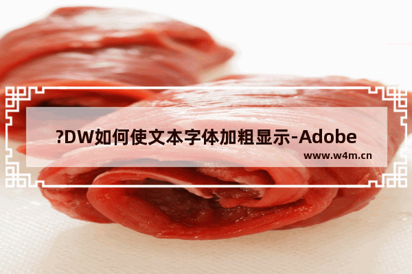 ?DW如何使文本字体加粗显示-Adobe Dreamweaver中加粗显示文本内容的方法教程