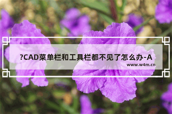 ?CAD菜单栏和工具栏都不见了怎么办-AutoCAD调出工具栏和菜单栏的方法教程