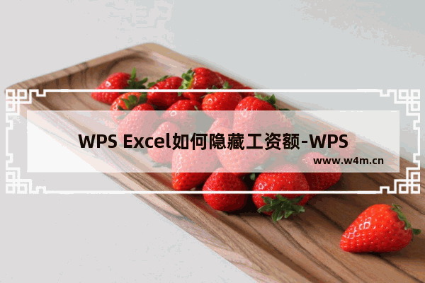 WPS Excel如何隐藏工资额-WPS Excel隐藏工资额的方法