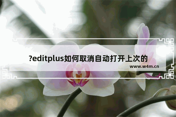 ?editplus如何取消自动打开上次的文档-?editplus取消自动打开上次的文档方法