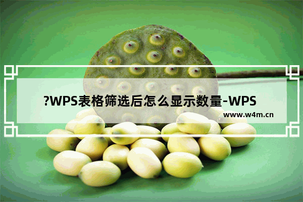 ?WPS表格筛选后怎么显示数量-WPS Excel筛选后显示计数的方法教程