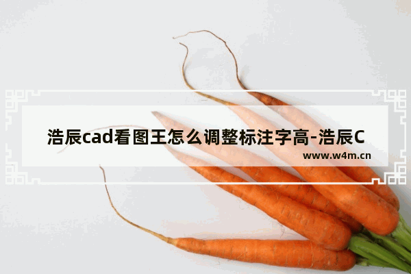 浩辰cad看图王怎么调整标注字高-浩辰CAD看图王修改标注字高的方法