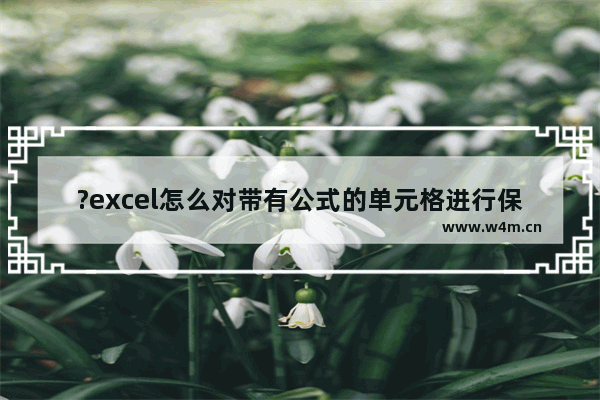 ?excel怎么对带有公式的单元格进行保护-?excel设置保护带有公式单元格的方法