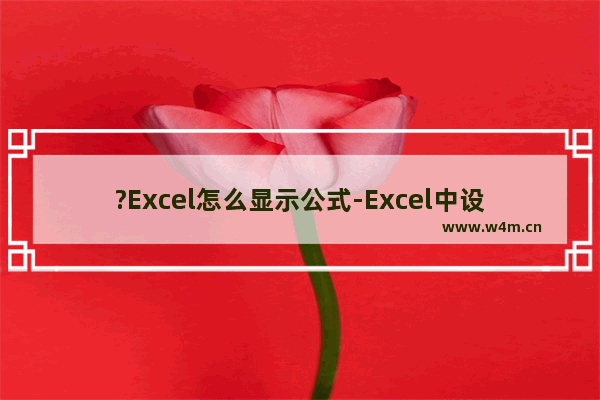 ?Excel怎么显示公式-Excel中设置显示公式而不是结果的方法教程