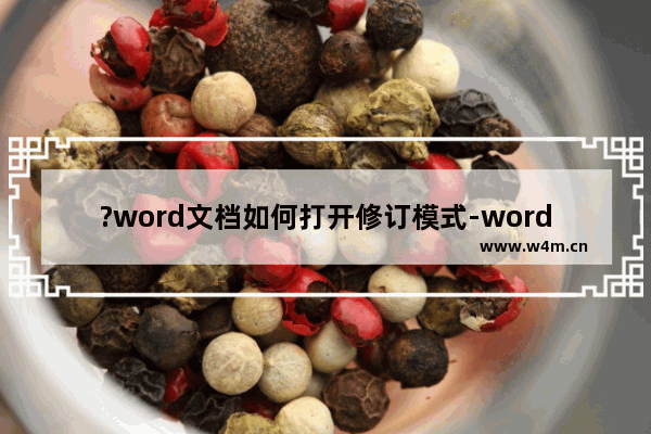 ?word文档如何打开修订模式-word文档开启修订模式的方法