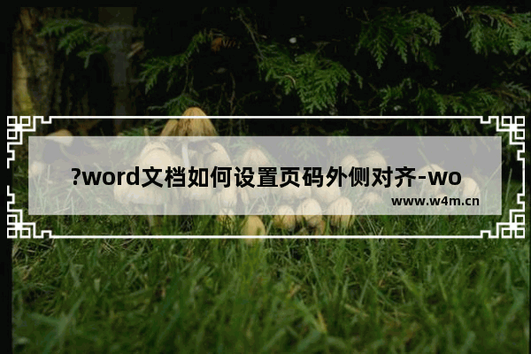 ?word文档如何设置页码外侧对齐-word文档设置页码外侧对齐的方法