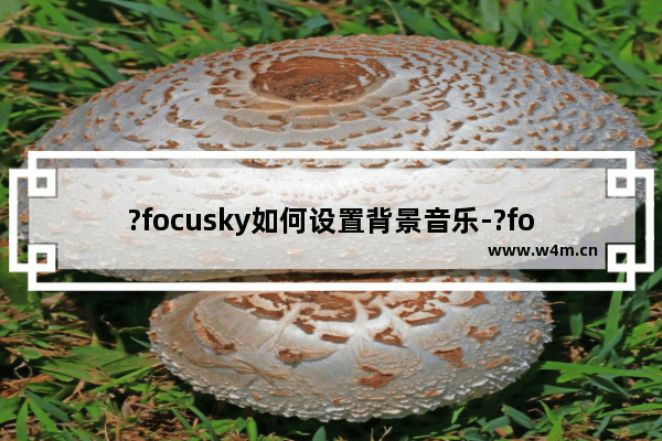 ?focusky如何设置背景音乐-?focusky为镜头帧添加背景音乐的方法