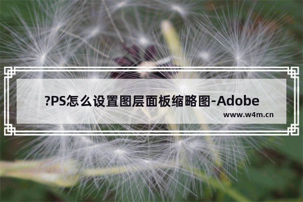 ?PS怎么设置图层面板缩略图-Adobe Photoshop调出图层面板的缩略图的方法教程