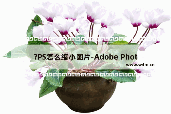 ?PS怎么缩小图片-Adobe Photoshop把图片变小的方法教程