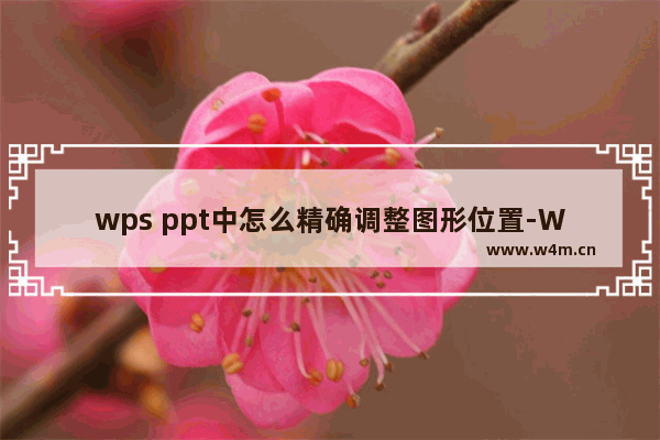 wps ppt中怎么精确调整图形位置-WPS PPT精确修改图形位置的方法