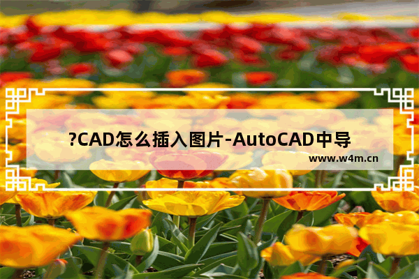 ?CAD怎么插入图片-AutoCAD中导入图片的方法教程