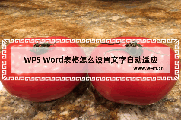 WPS Word表格怎么设置文字自动适应单元格大小-WPS Word表格让文字自动适应单元格大小的方法