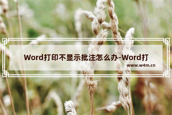 Word打印不显示批注怎么办-Word打印不显示批注的解决方法