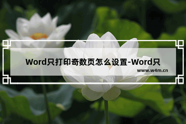 Word只打印奇数页怎么设置-Word只打印奇数页的方法