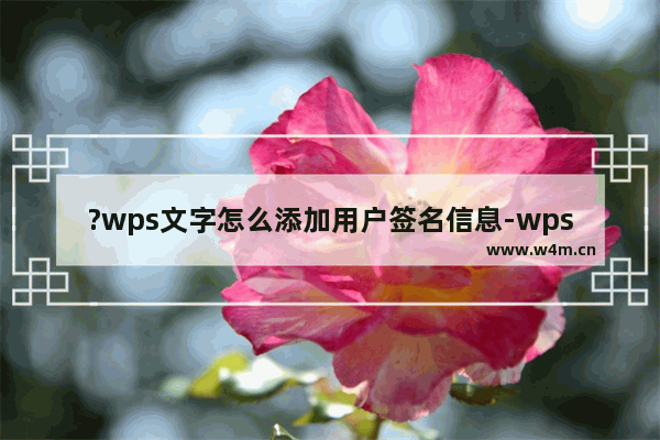 ?wps文字怎么添加用户签名信息-wps文档设置用户信息的方法