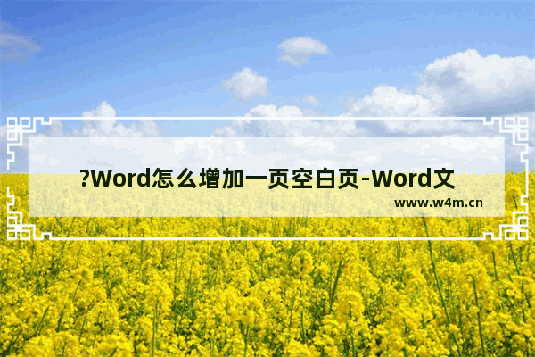 ?Word怎么增加一页空白页-Word文档中增加一页空白页面的方法教程