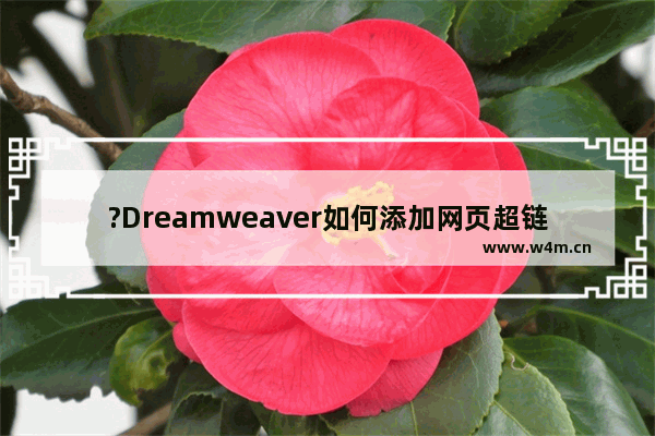 ?Dreamweaver如何添加网页超链接-Adobe Dreamweaver中设置超链接的方法教程