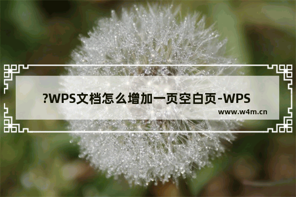 ?WPS文档怎么增加一页空白页-WPS Word新增一页空白页面的方法教程