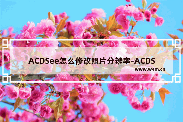 ACDSee怎么修改照片分辨率-ACDSee批量调整照片分辨率大小的方法