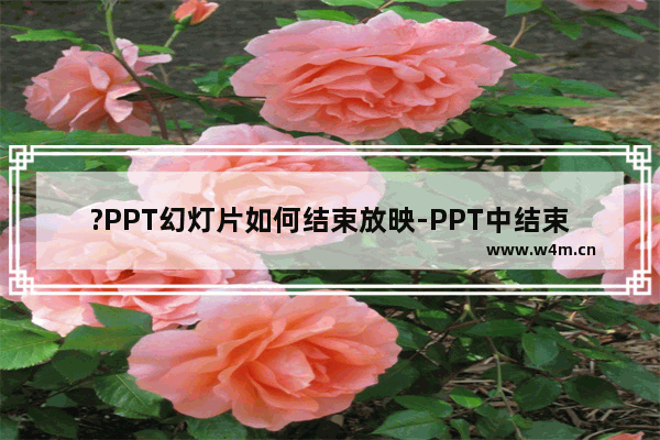 ?PPT幻灯片如何结束放映-PPT中结束放映幻灯片的方法教程