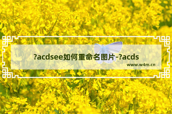 ?acdsee如何重命名图片-?acdsee批量重命名的方法