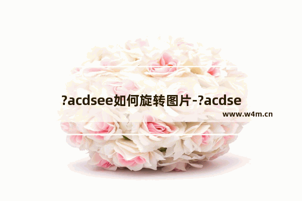 ?acdsee如何旋转图片-?acdsee旋转图片的方法