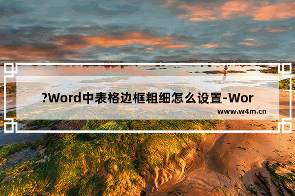 ?Word中表格边框粗细怎么设置-Word文档中调整表格边框线粗细的方法教程