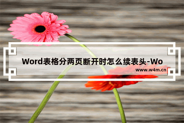 Word表格分两页断开时怎么续表头-Word表格分两页断开时续表头的方法