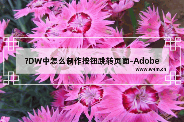 ?DW中怎么制作按钮跳转页面-Adobe Dreamweaver中制作按钮的方法教程