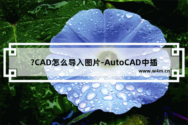 ?CAD怎么导入图片-AutoCAD中插入图片的方法教程