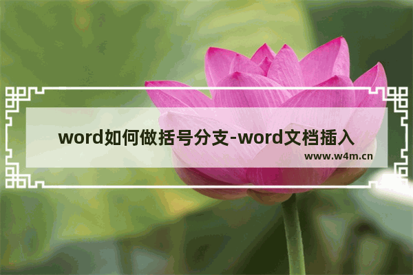 word如何做括号分支-word文档插入括号公式的方法