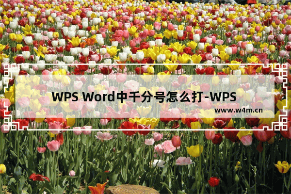 WPS Word中千分号怎么打-WPS Word中插入千分号的方法