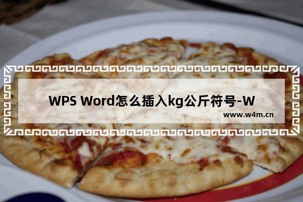 WPS Word怎么插入kg公斤符号-WPS Word插入自带的kg公斤符号的方法