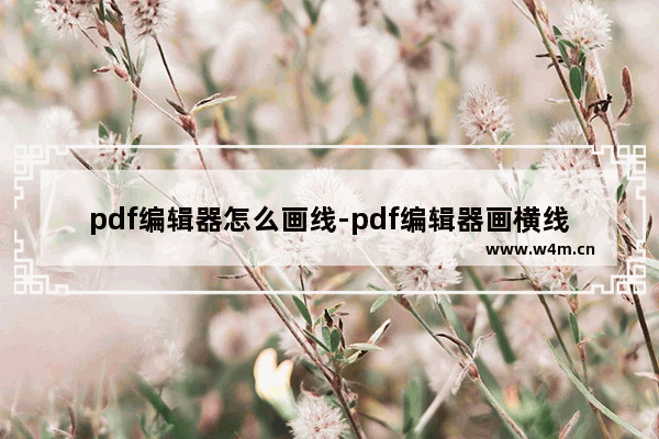 pdf编辑器怎么画线-pdf编辑器画横线的方法